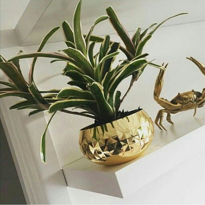 guci kuningan, guci kuningan kuno, guci kuningan kecil, jual guci kuningan, harga guci kuningan, guci antik kuningan, wisata guci kuningan, guci dari kuningan, vas bunga kuningan, harga vas bunga kuningan,